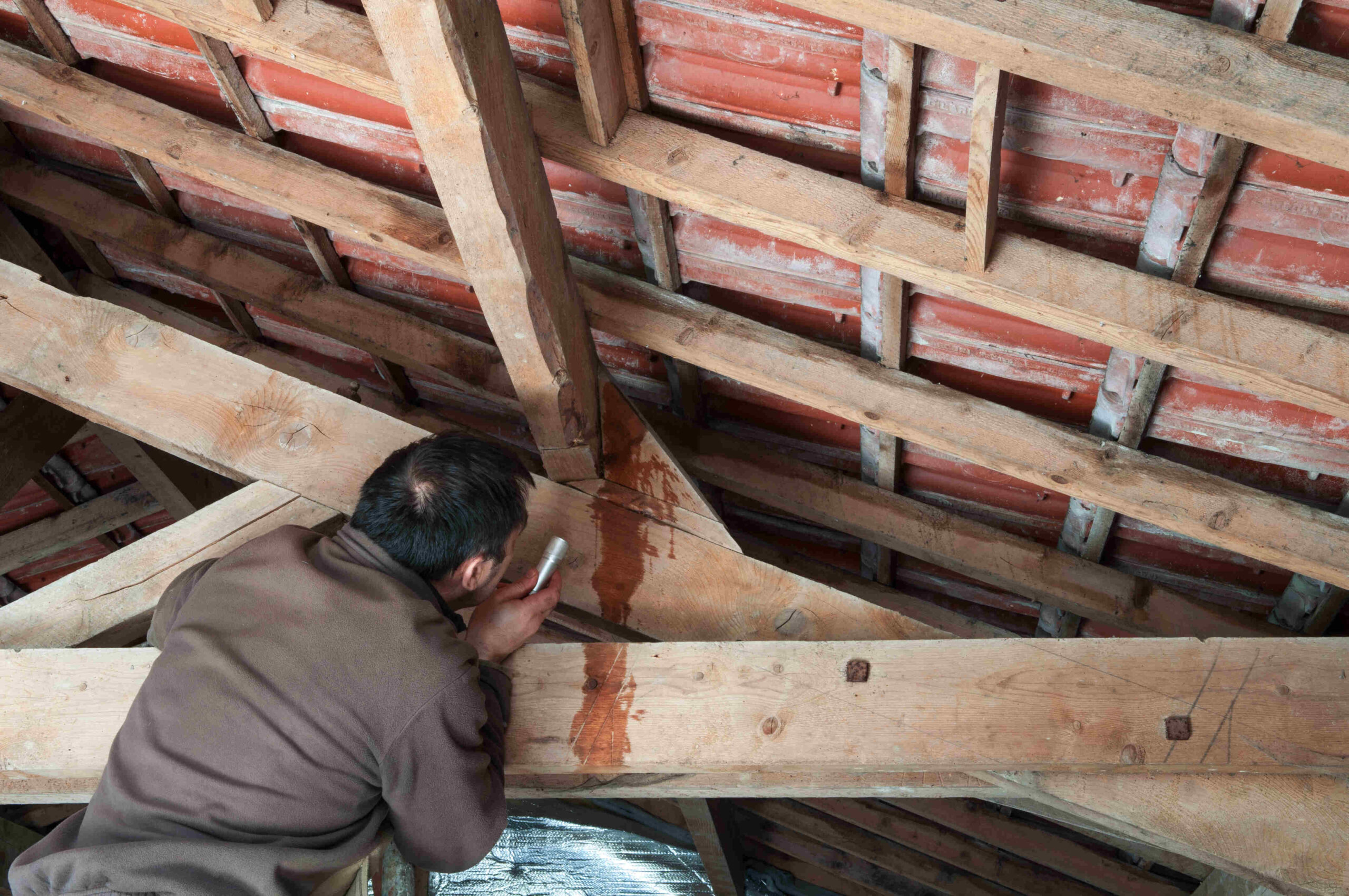 Signs You May Have a Roof Leak